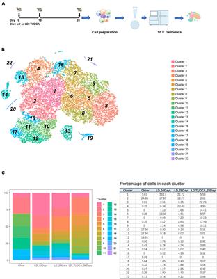 Single Cell RNA-Sequencing Reveals a Murine Gallbladder Cell Transcriptome Atlas During the Process of Cholesterol Gallstone Formation